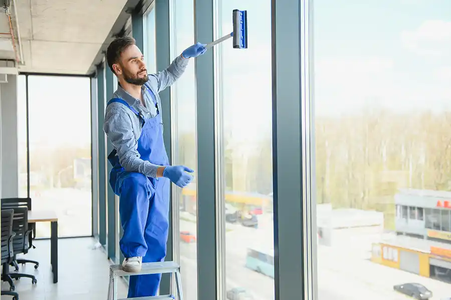 Window Cleaning Service